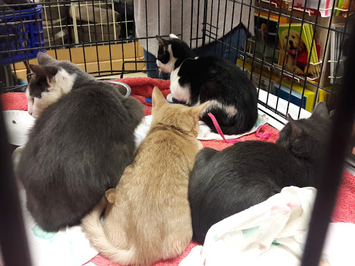 Pet Supply Store «PetSmart», reviews and photos, 271 New Rd, Somers Point, NJ 08244, USA