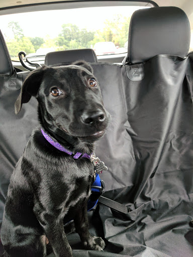 Pet Supply Store «PetSmart», reviews and photos, 4400 Fort Jackson Blvd #300, Columbia, SC 29209, USA