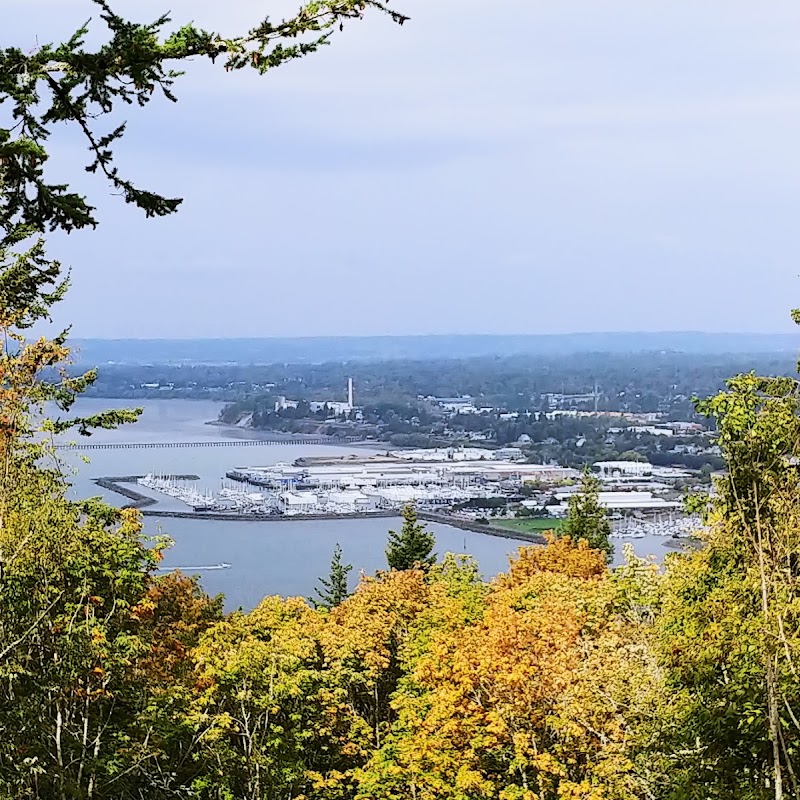 Sehome Hill Arboretum