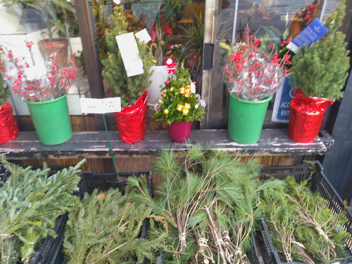 Florist «Sunshine Florist Inc.», reviews and photos, 946 1st Avenue, New York, NY 10022, USA