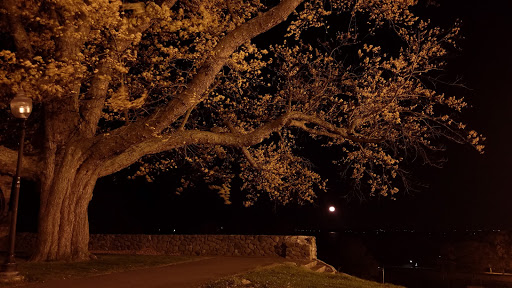 Park «Kennedy Park», reviews and photos, S Main St, Fall River, MA 02724, USA