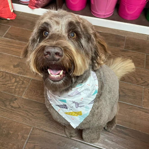 Pet Groomer «Woof Gang Bakery & Grooming Bridgewater», reviews and photos, 732 US-202 #130, Bridgewater, NJ 08807, USA