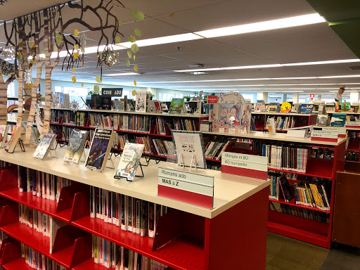 Bibliothèque Père-Ambroise