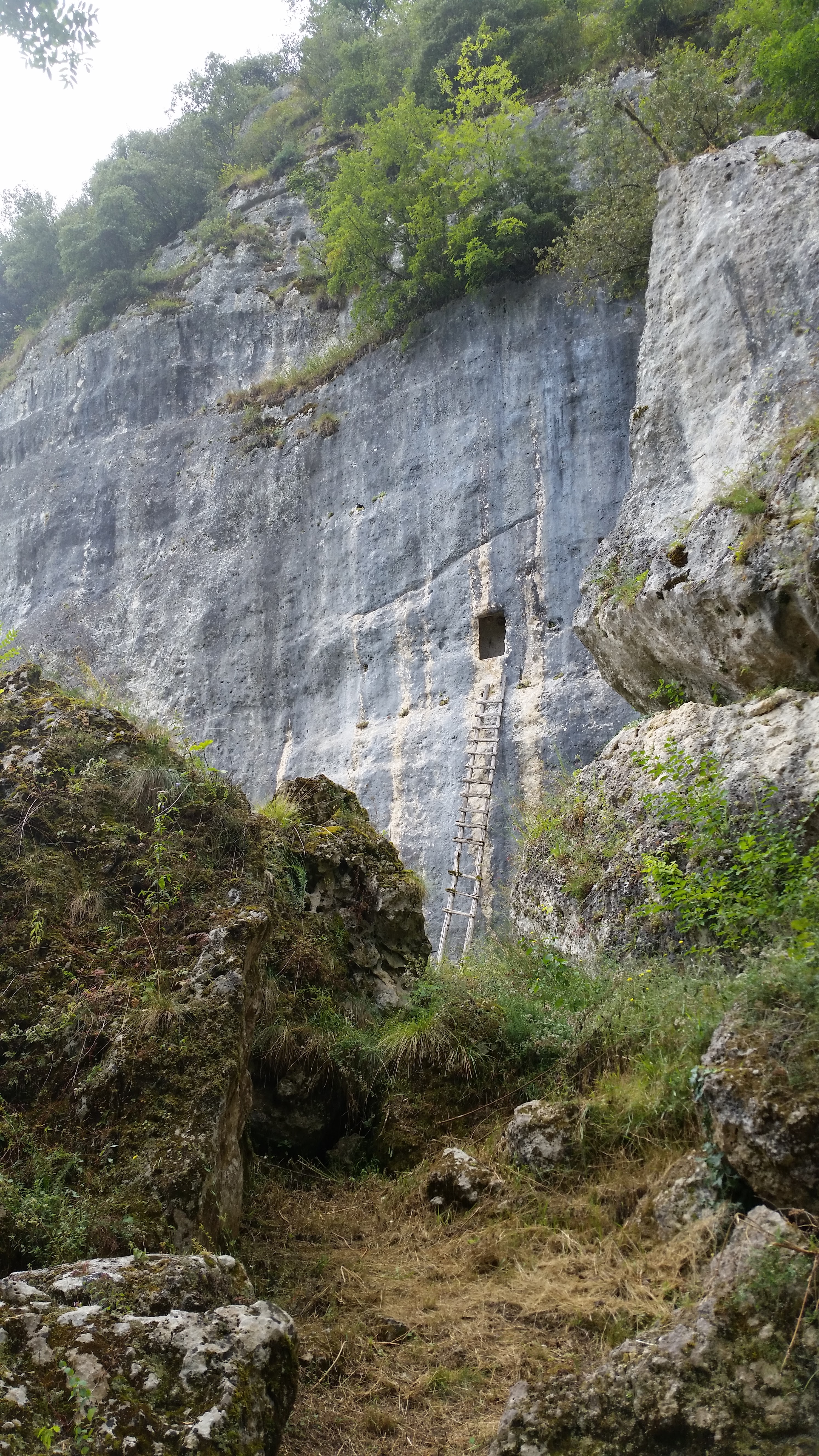 Photo n° 9 de l'avis de P.R fait le 28/07/2018 à 11:13