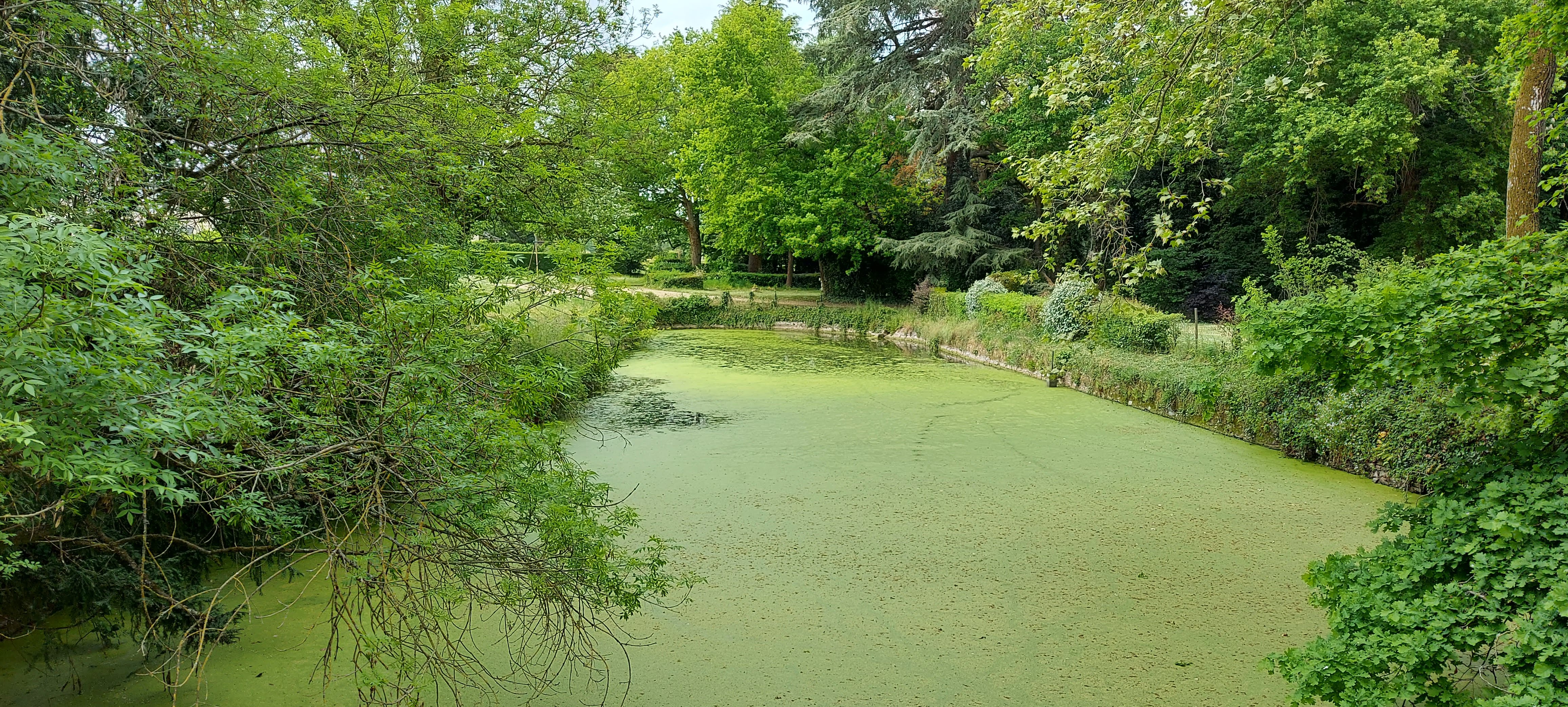 Photo n° 3 de l'avis de Marc.l fait le 29/04/2021 à 15:44
