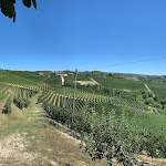 Photo n°2 de l'avis de Serena.e fait le 07/11/2022 à 18:23 sur le  Osteria Il Cortile à Diano d'Alba