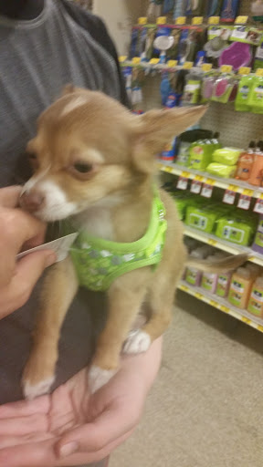 Pet Supply Store «PetSmart», reviews and photos, 3500 S Glenstone Ave, Springfield, MO 65804, USA