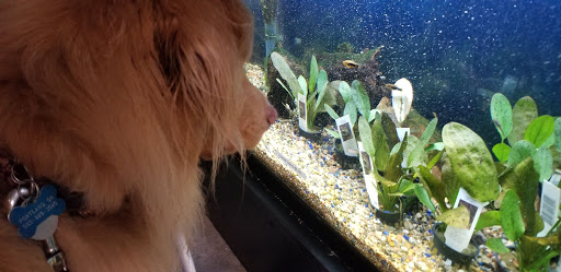 Pet Supply Store «Pet Loft», reviews and photos, 6333 SW Macadam Ave #104, Portland, OR 97239, USA