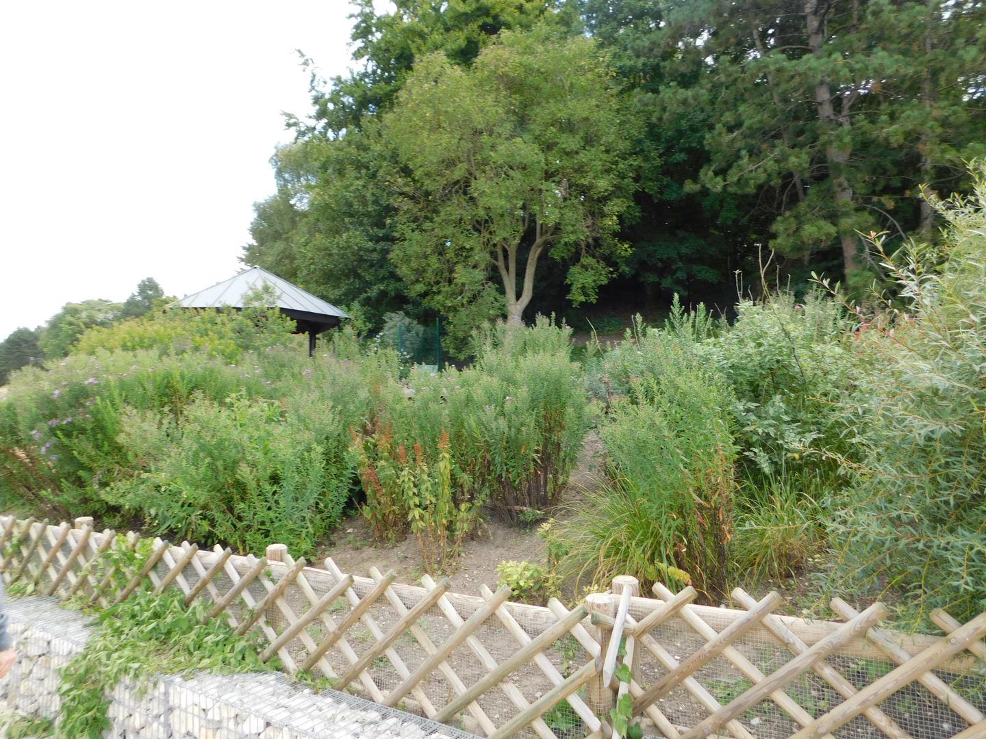 Photo n° 8 de l'avis de Isabelle.. fait le 09/09/2019 à 09:31