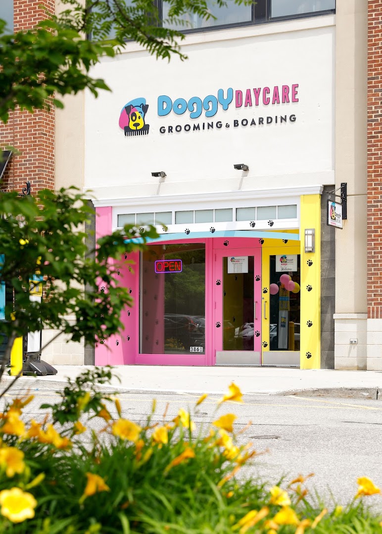 Doggy DayCare Grooming and Boarding