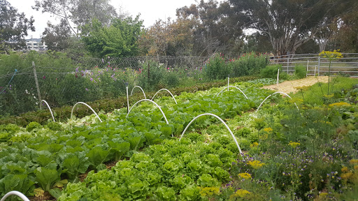 Seabreeze Family Farm