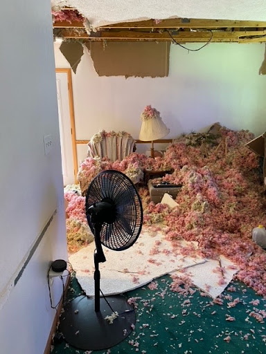 Carpet Cleaning Service «Harris Services», reviews and photos, 5123 S Production Dr C, Bloomington, IN 47403, USA