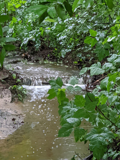 Park «Hurst Community Park», reviews and photos, 601 Precinct Line Rd, Hurst, TX 76053, USA