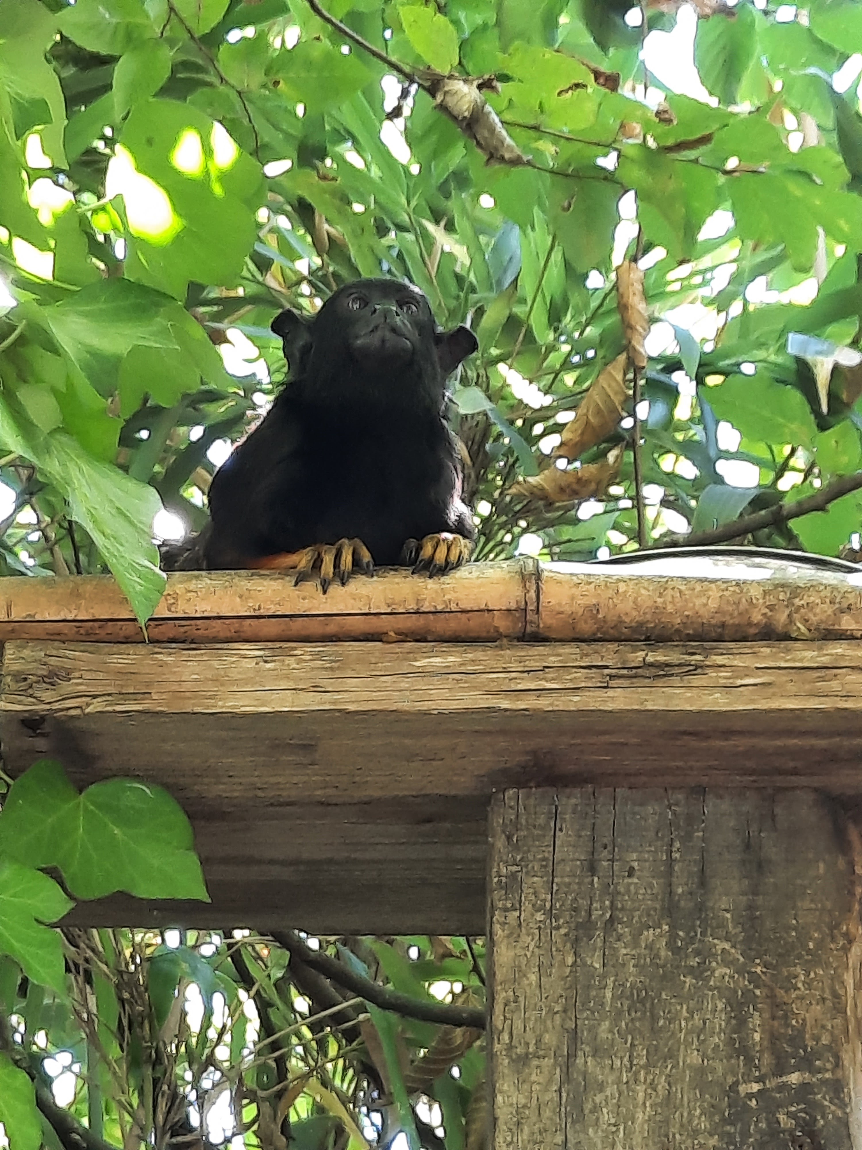 Photo n° 5 de l'avis de Gwen.i fait le 08/08/2023 à 13:19