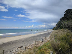 Zdjęcie Newdicks Beach położony w naturalnym obszarze
