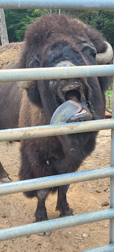 Zoo «Chestatee Wildlife Preserve & Zoo», reviews and photos, 469 Old Dahlonega Hwy, Dahlonega, GA 30533, USA