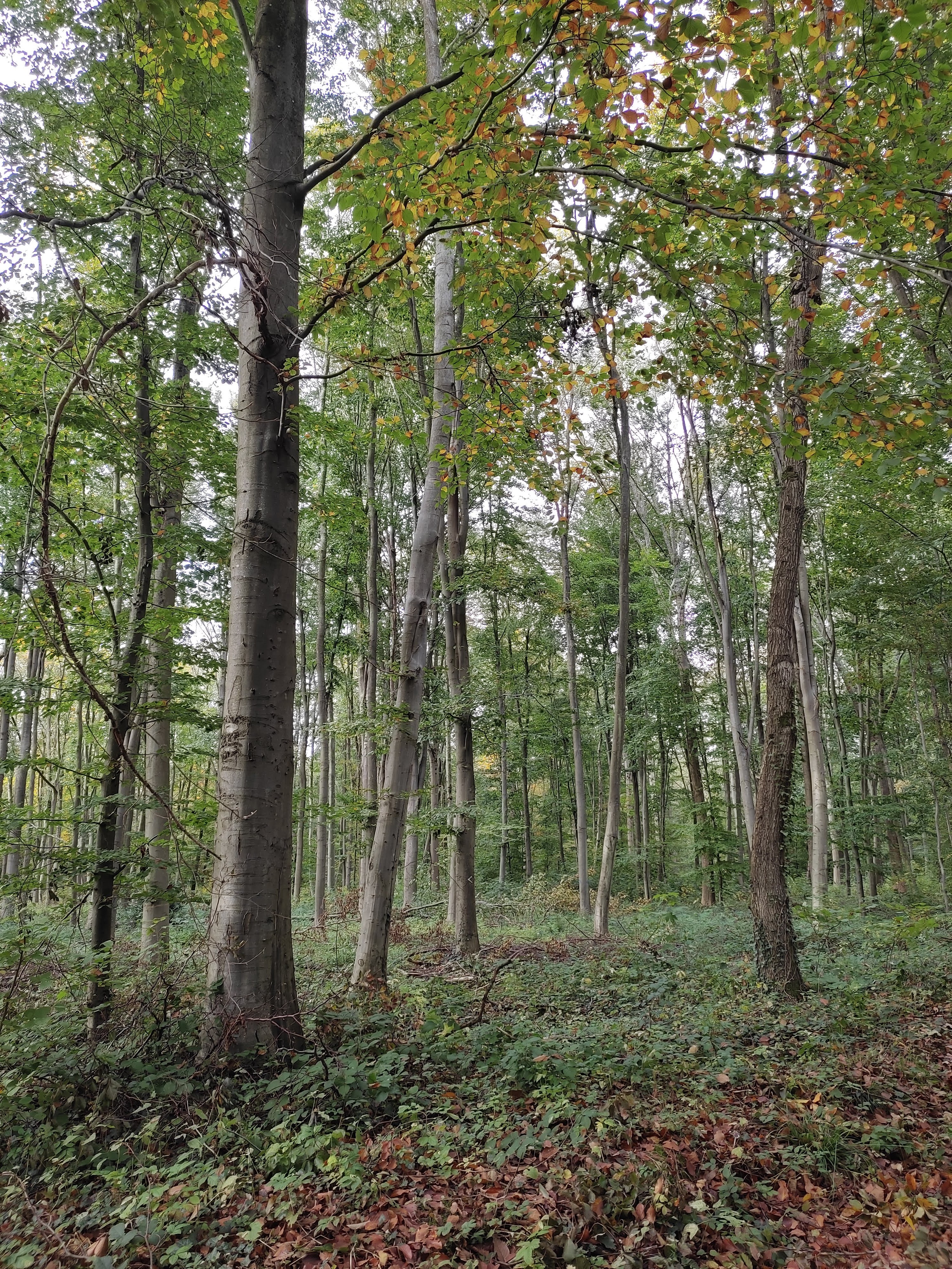 Photo n° 1 de l'avis de Sabine.a fait le 02/11/2021 à 16:37