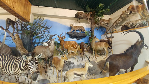 Sporting Goods Store «Midwestern Shooters Supply», reviews and photos, 191 Church St, Lomira, WI 53048, USA