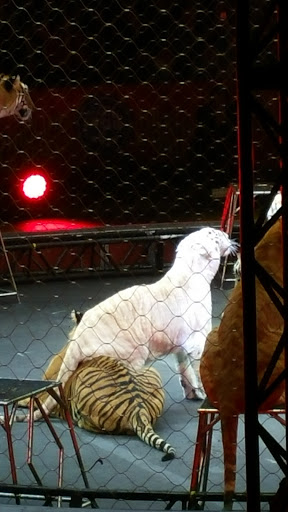 Arena «Bridgestone Arena», reviews and photos, 501 Broadway, Nashville, TN 37203, USA