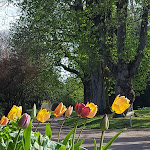Photo n° 2 de l'avis de Sabrina.e fait le 01/05/2018 à 19:24 pour Jardin Botanique de Bayeux à Bayeux