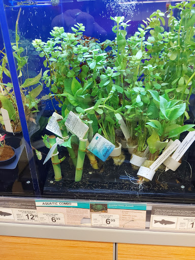 Pet Supply Store «Petco Animal Supplies», reviews and photos, 364 Randall Rd, South Elgin, IL 60177, USA