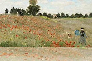 Monet: The Immersive Experience Los Angeles image