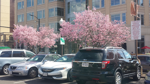 Shopping Mall «Colonial Village Shopping Center», reviews and photos, 1723 Wilson Blvd, Arlington, VA 22209, USA