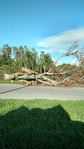 Golf Shop «Seven Springs Golf Shop», reviews and photos, 3535 Trophy Blvd, Trinity, FL 34655, USA