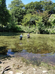 Museerne på Skovsgård