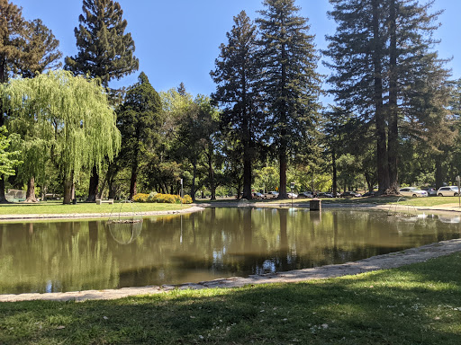 Green indoor park in Sacramento