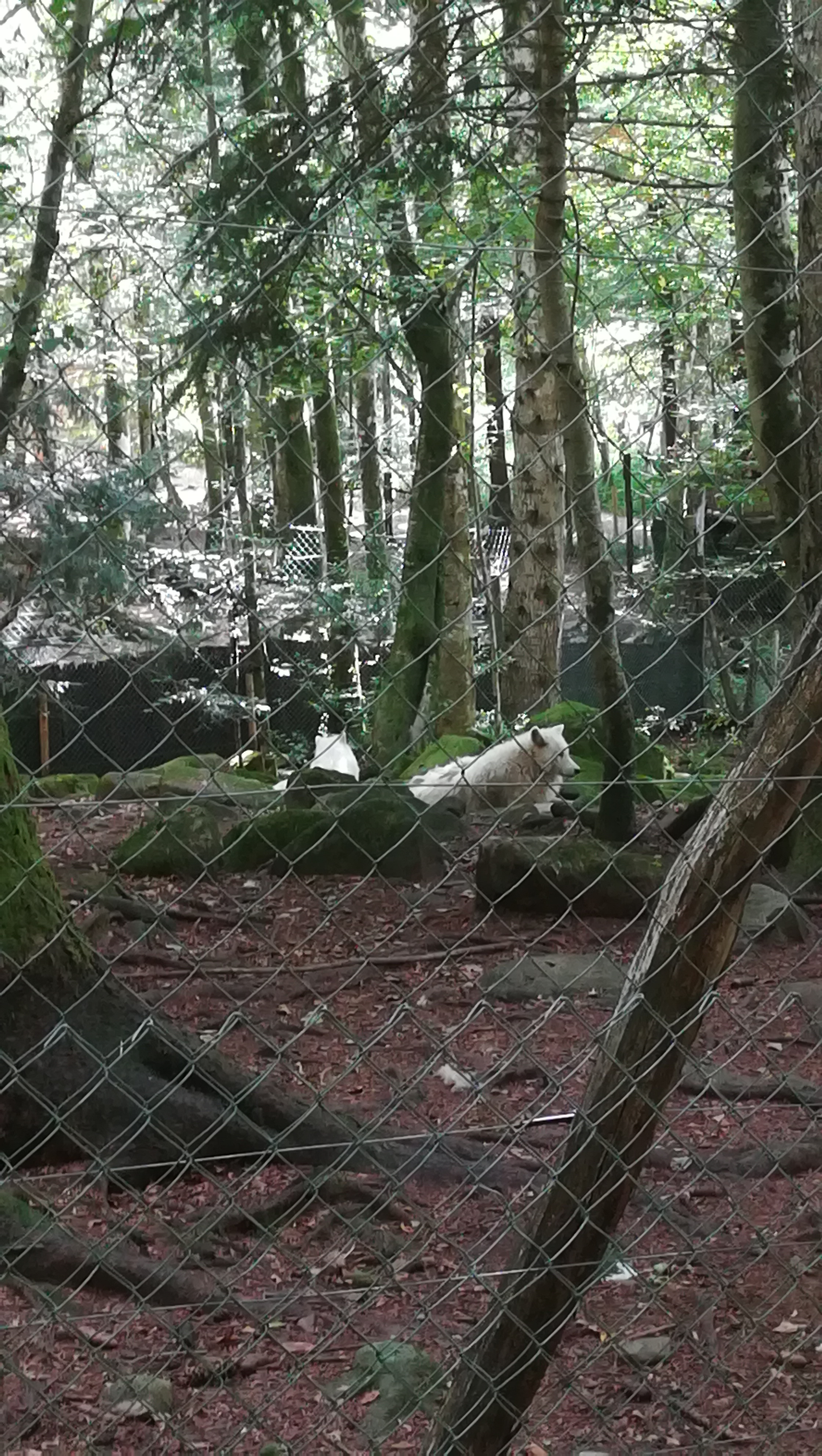 Photo n° 2 de l'avis de Melanie.a fait le 23/08/2018 à 08:47