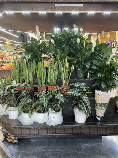 Supermarket «Pioneer Supermarkets», reviews and photos, 381 Mother Gaston Blvd, Brooklyn, NY 11212, USA