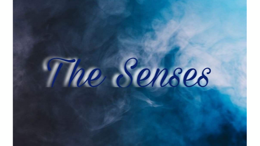 The Senses
