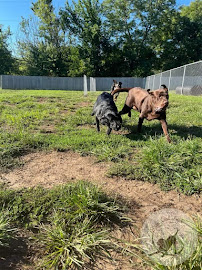 Captain Creek Ranch - Photo 4 - Car repair in Eudora, KS, Olathe