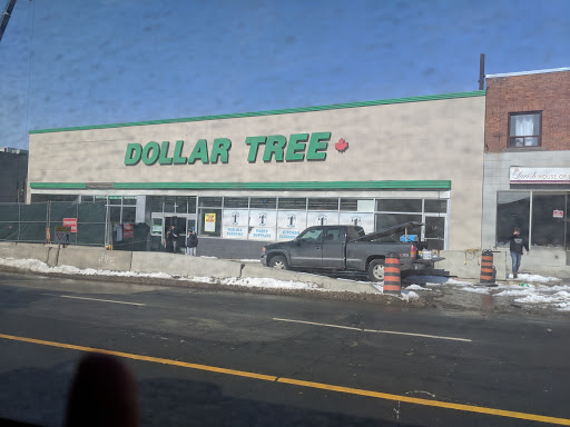 Dollar Tree