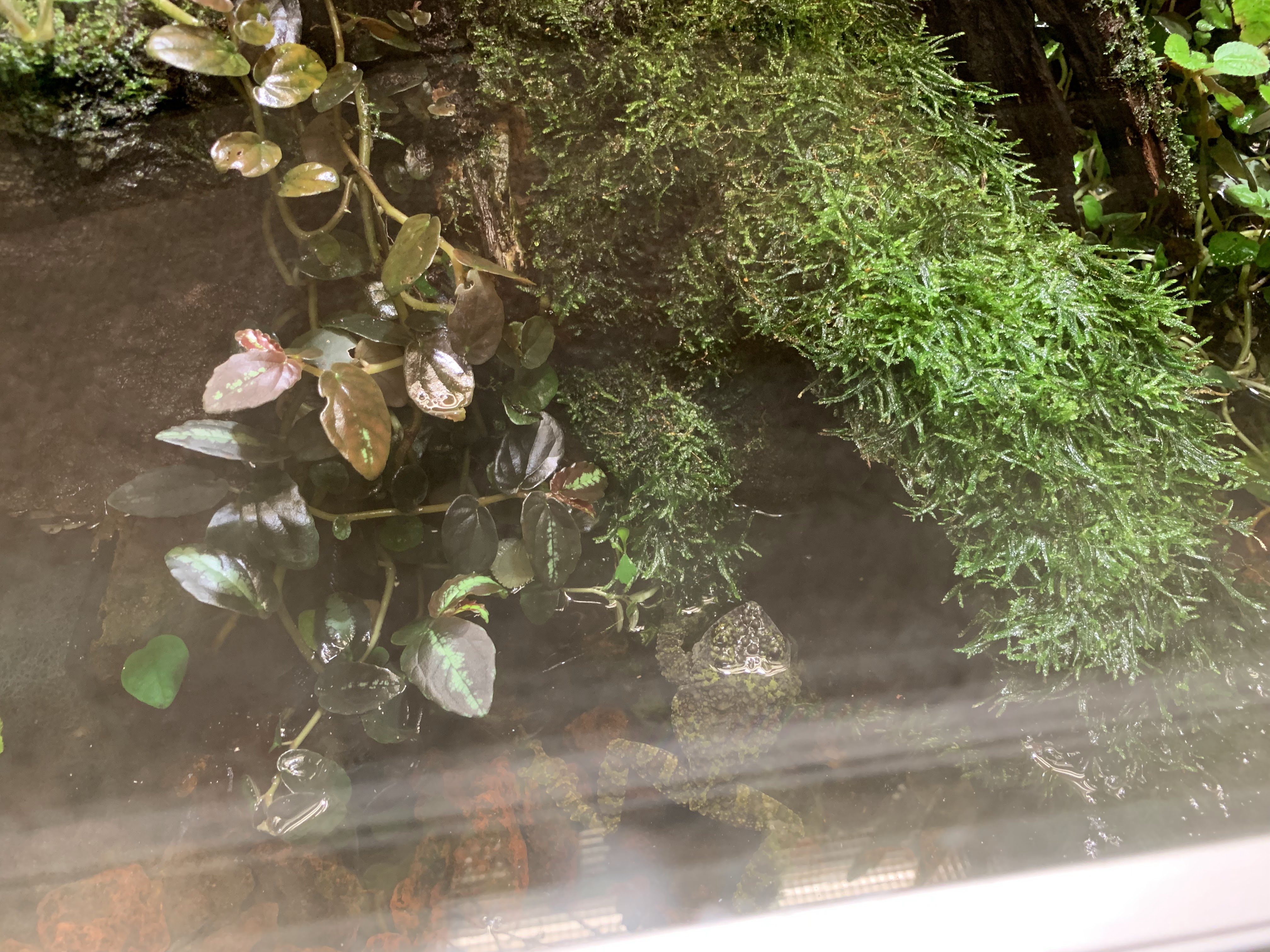 Photo n° 38 de l'avis de Angie. fait le 15/05/2019 à 11:27