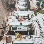 Photo n°1 de l'avis de Horst.a fait le 28/04/2024 à 16:35 sur le  Pharisäerhof - Hotel / Restaurant / Café auf Nordstrand à Nordstrand