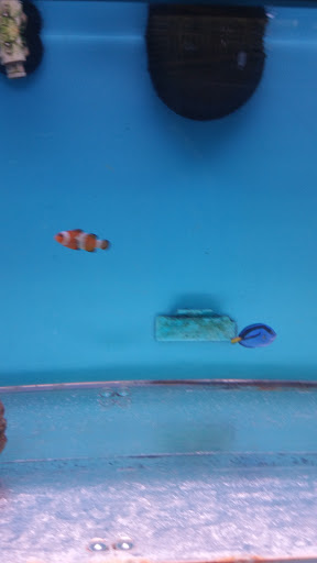 Pet Supply Store «Pet Fun At Harden Ranch Plz», reviews and photos, 1780 N Main St, Salinas, CA 93906, USA