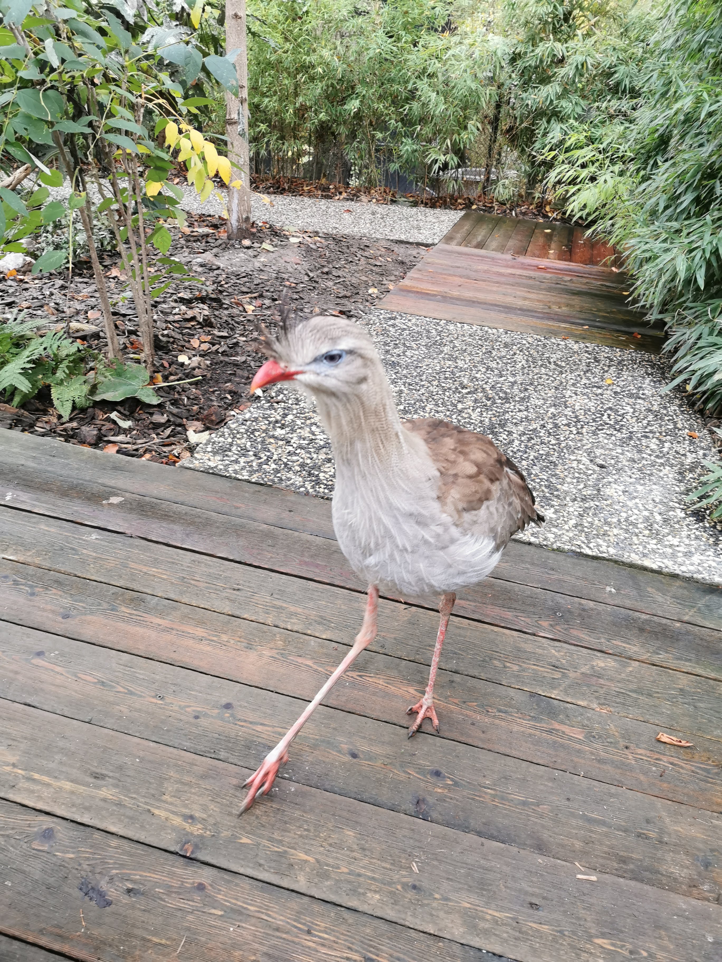 Photo n° 2 de l'avis de Melanie.E fait le 25/10/2020 à 20:05