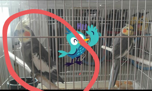 Pet Store «Pet Source 1901», reviews and photos, 1901 W 8th St B, Los Angeles, CA 90057, USA