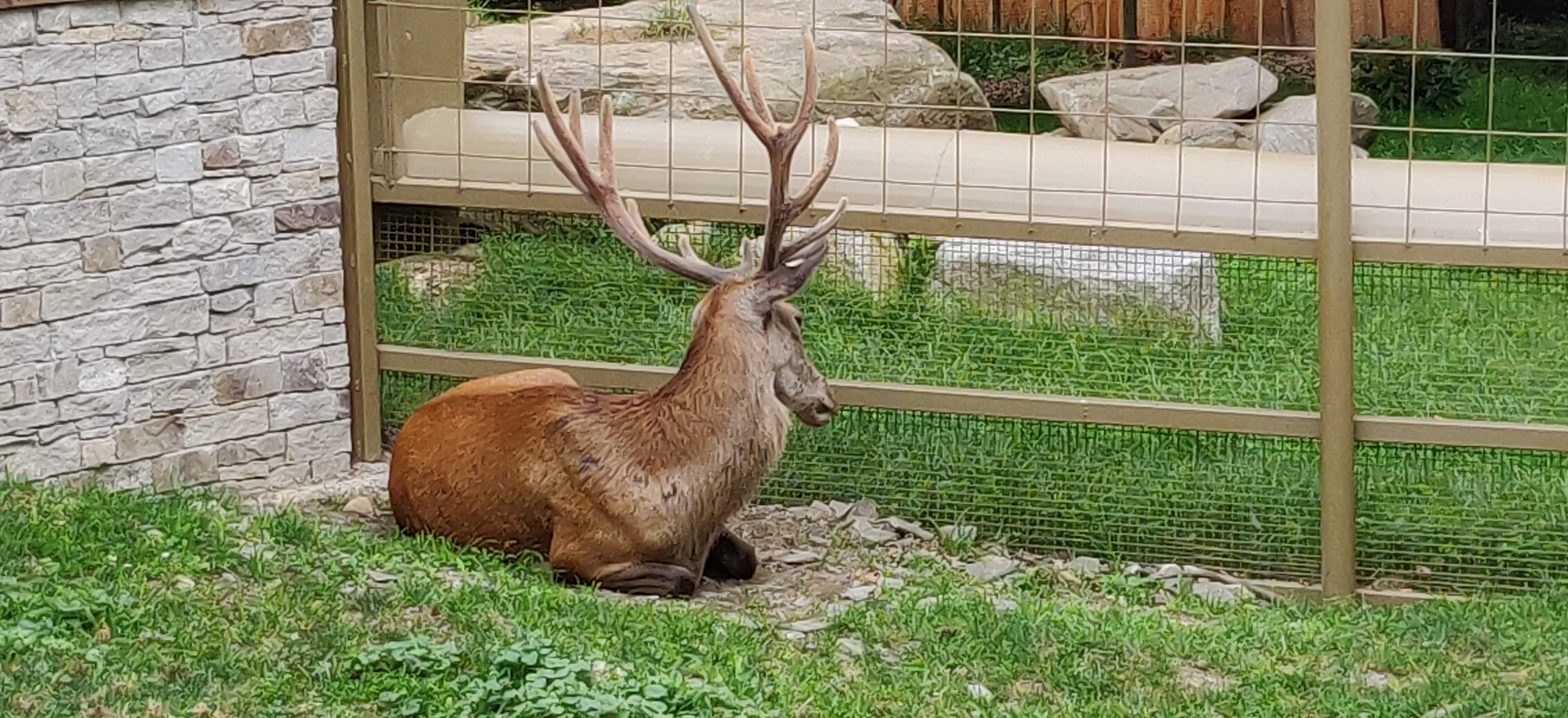 Photo n° 30 de l'avis de Frédéric.o fait le 15/11/2022 à 09:50
