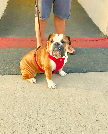 Tattoo Shop «Pare Eddie Tattoo & Piercing Salon», reviews and photos, 14181 Newport Ave e, Tustin, CA 92780, USA