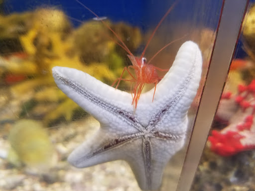 Pet Supply Store «Pet Station Jackson», reviews and photos, 1617 E Michigan Ave, Jackson, MI 49202, USA