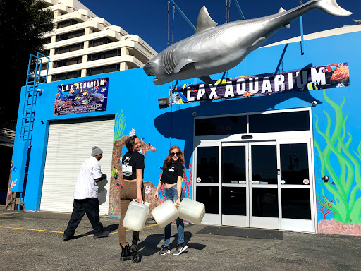 Tropical Fish Store «Lax Aquarium», reviews and photos, 5310 W Century Blvd, Los Angeles, CA 90045, USA