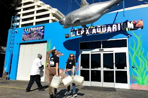 LAX Aquarium image