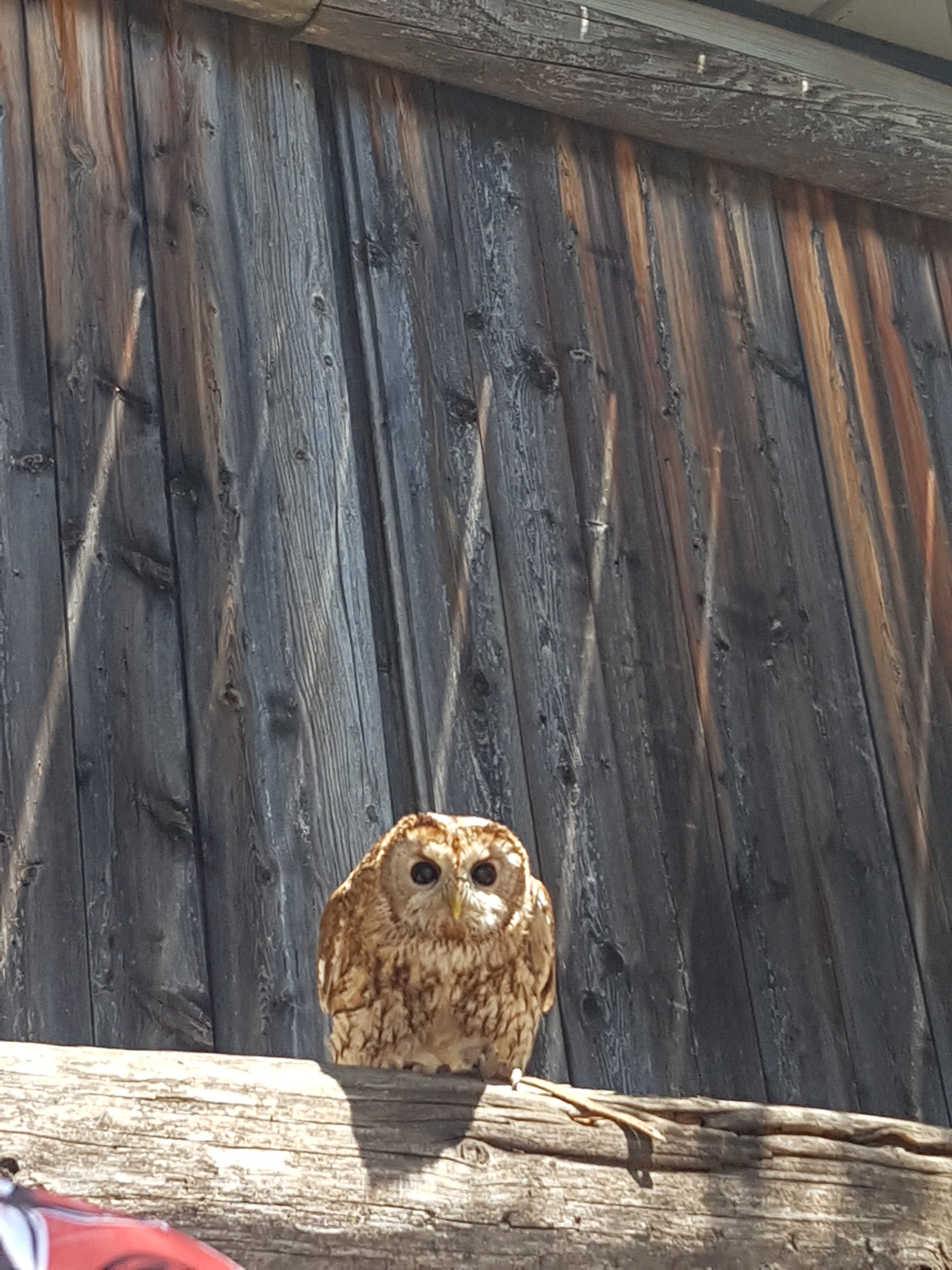 Photo n° 2 de l'avis de Lucien. fait le 12/06/2021 à 19:07