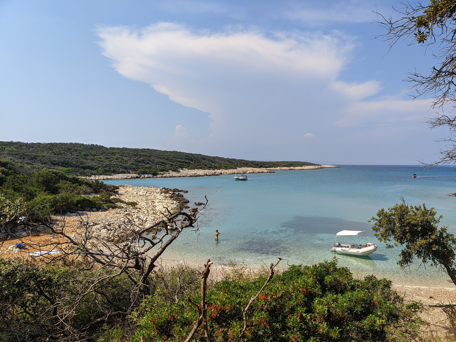 Vlaska beach的照片 带有轻卵石表面