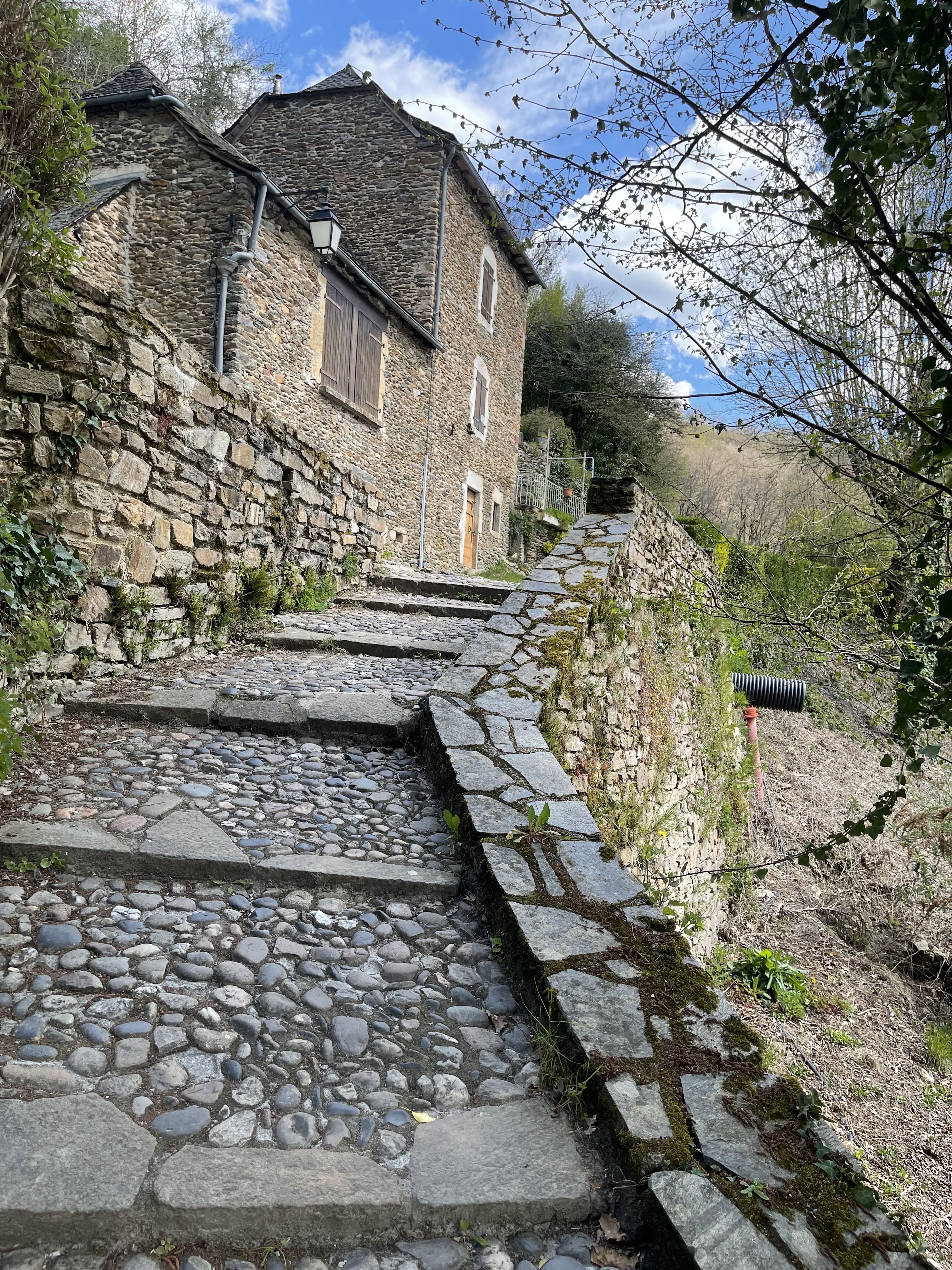 Photo n° 2 de l'avis de Dimitrhil. fait le 20/04/2023 à 13:51