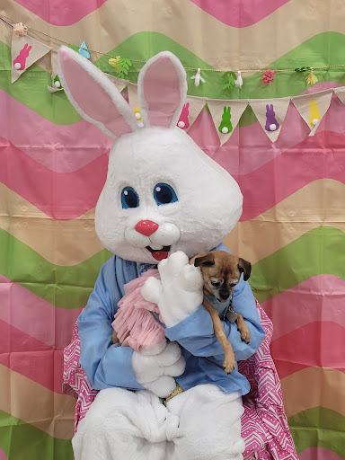 Pet Supply Store «PetSmart», reviews and photos, 5005 S 74th St, Greenfield, WI 53220, USA