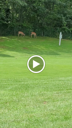 Golf Course «Crab Meadow Golf Course», reviews and photos, 220 Waterside Rd, Northport, NY 11768, USA